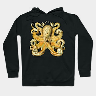 Octopus Hoodie